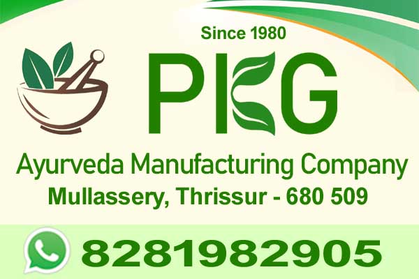 AYURVEDA MANUFACTURING COMPANY